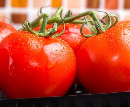 Bunch of red juicy tomatoes with water droplets in kitchen