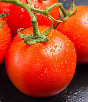 Closeup of red vine tomatoes with water drops