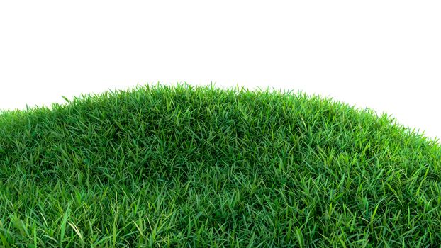 Green grass field on small hills, isolated on white background. 3d illustration