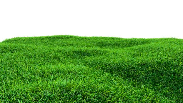 Grass background, fresh green fields, isolated on white background. 3d illustration