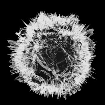 Abstract mesh on dark background. X-ray image of abstract sphere on black background. 3d illustration