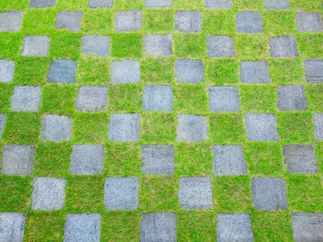 Green yard in check pattern from high view