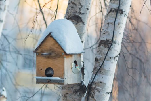 home for the birds of winter a lot of snow a Sunny day in winter the city