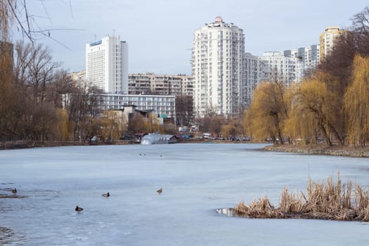 Winter view of city park with ice frozen pond and flock of ducks