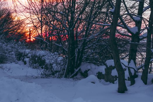 Colorful winter sunrise with purple and orange clouds