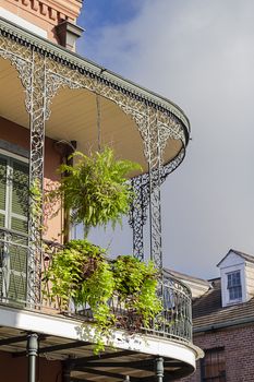 Fern hanging on a balcony of the French Quarter in New Orleans