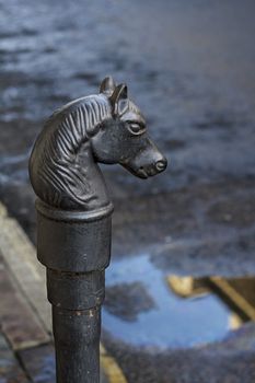 Cast Iron Horse Head Hitching post over a poddle in the French Quarter of New Orleans