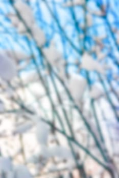 Winter landscape - soft lens bokeh image. Defocused background
