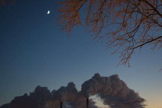 the trees and poor environment evening winter city smoke from factory