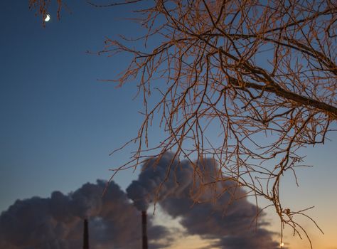 the trees and poor environment evening winter city smoke from factory