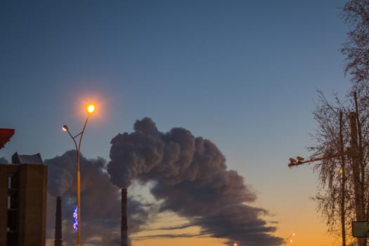 the trees and poor environment evening winter city smoke from factory