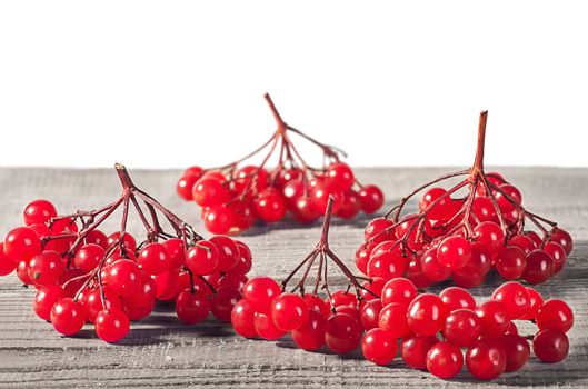 Several branches of viburnum on a wooden table background is white