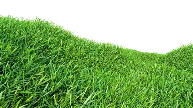 Green grass field isolated on white background. 3d illustration