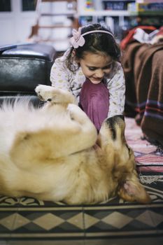 little girl at home with her golden retriever dog have affectionate gestures