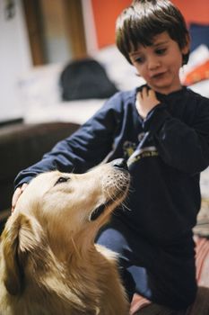 little girl at home with her golden retriever dog have affectionate gestures