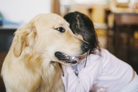 little girl at home with her golden retriever dog have affectionate gestures