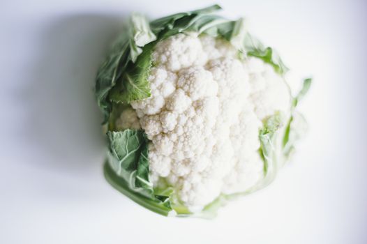 still-life photograph of cabbage on white background