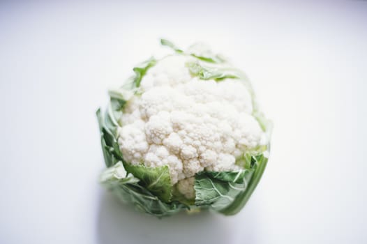 still-life photograph of cabbage on white background