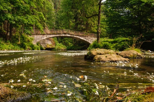 Old bridge over the river Kamenice with plants in Bohemia