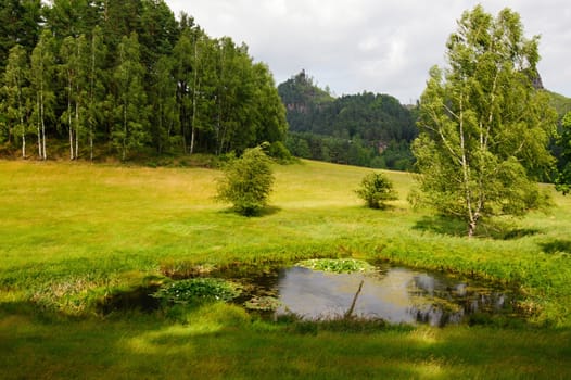 Summer landscape with forests, meadows, pond, rocks and sky