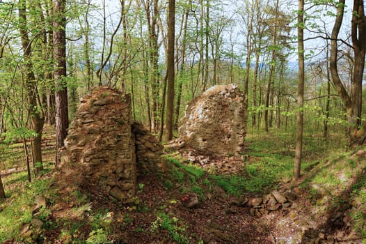 Old ruins of an unknown castle deep in the woods