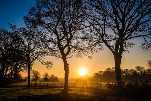 Sunrise in a foggy morning at Sandwell Valley Country Park