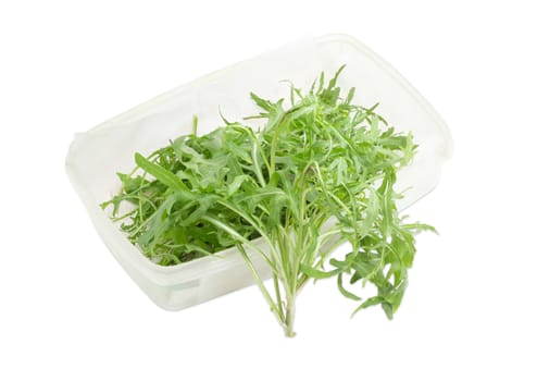 Leaves of the fresh arugula in the plastic container and one arugula stem beside on a light background
