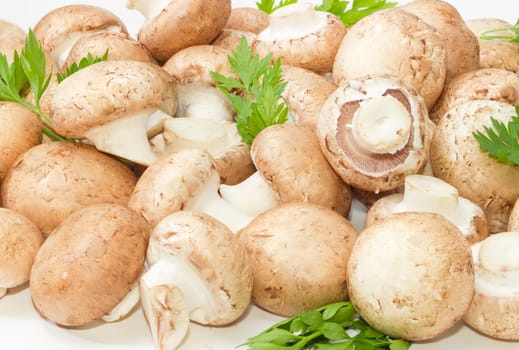 Background of the fresh whole uncooked button mushrooms with several parsley twigs
