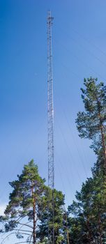 Steel lattice mobile communication mast with guy wires among the pines on a background of the clear sky 
