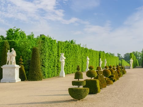 One of the alleys with sculptures and decorative trees in the Gardens of Versailles on a spring morning, France

