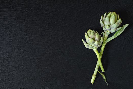 Two cones fresh green artichoke on a black stone surface.  Top view, copy space. Healthy eating concept.