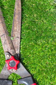 Gardening scissors on grass
