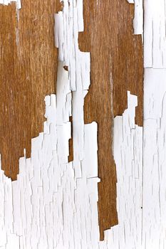 Old color gray wall painted background