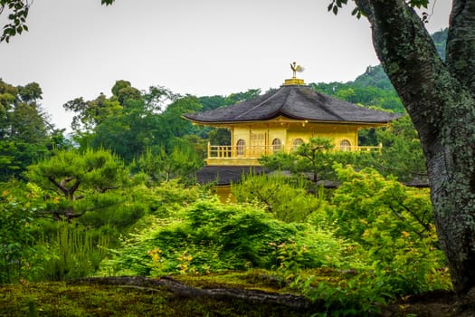 Kinkaku-ji golden temple pavilion in Kyoto, Japan