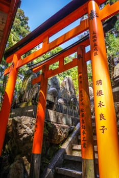 Fushimi Inari Taisha torii shrine, Kyoto, Japan