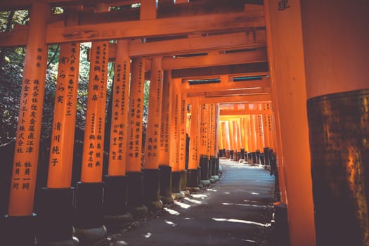 Fushimi Inari Taisha torii shrine, Kyoto, Japan