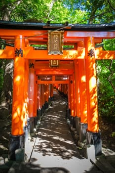 Fushimi Inari Taisha torii shrine, Kyoto, Japan