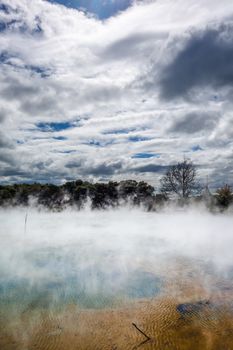 Hot springs lake in Rotorua park, New Zealand