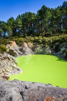 green lake in Waiotapu geothermal area, Rotorua, New Zealand