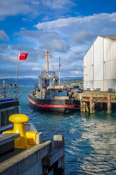 Wellington city harbour docks, New Zealand north Island