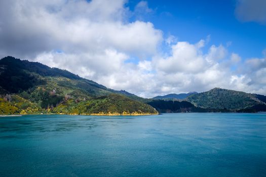 Marlborough Sounds coast and hills, New Zealand