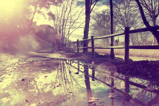 Autumn rural road,fence and trees.Puddle after rain in autumn.Vintage style,retro effect