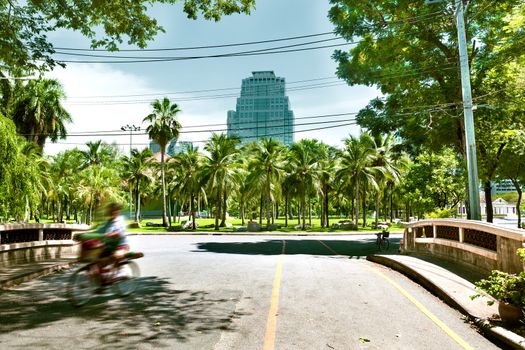 Lumphini Park scenery,Bangkok,Thailand.