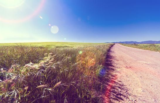 Green grass and empty road sunset.Adventure ramble concept