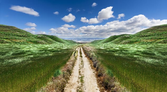 Landscape green fields and hills .Path through the green field