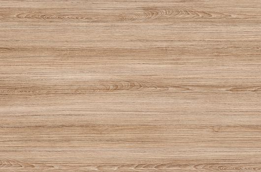 Brown wood texture. Abstract wood texture background.