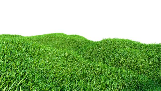 Grass background, fresh green fields, isolated on white background. 3d illustration