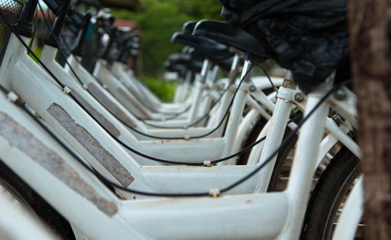 white bicycles parking in a row.