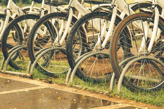 white bicycles parking in a row.