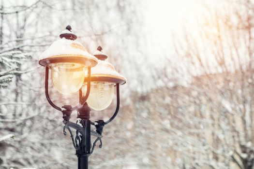 Beautiful winter background with trees cover snow and street light. Snow falls, toned photo, cope space.